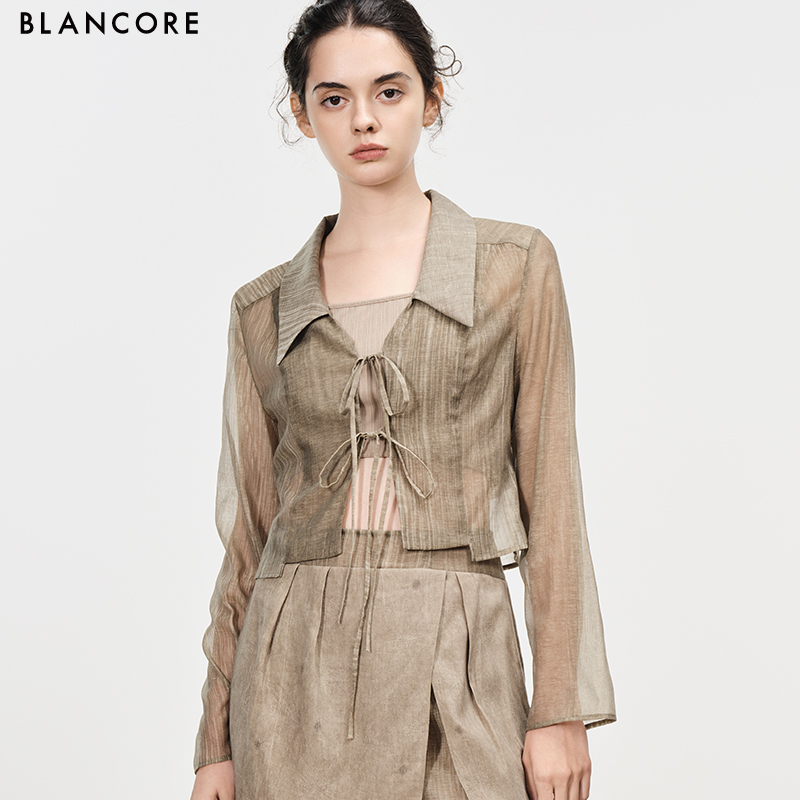 2-piece sheer crop blazer