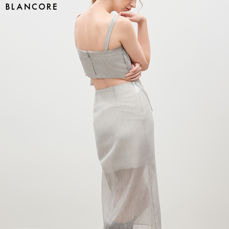 Panelled Mesh Pleated Skirt