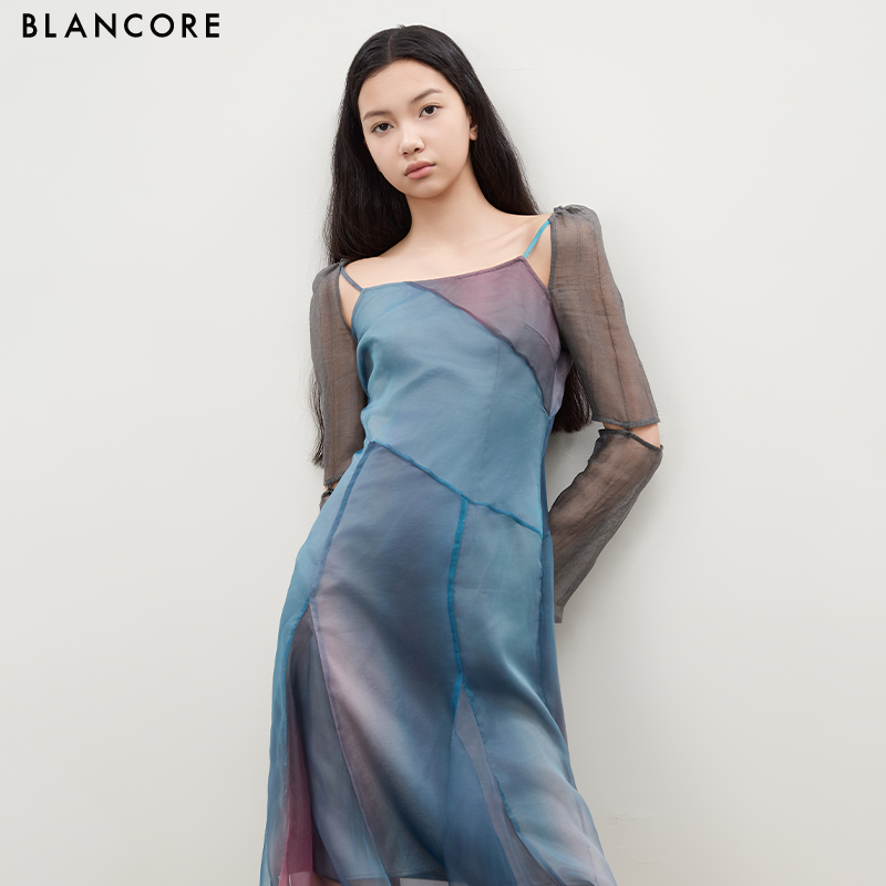 Printed Dress with Mesh Panels