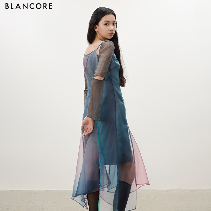 Printed Dress with Mesh Panels
