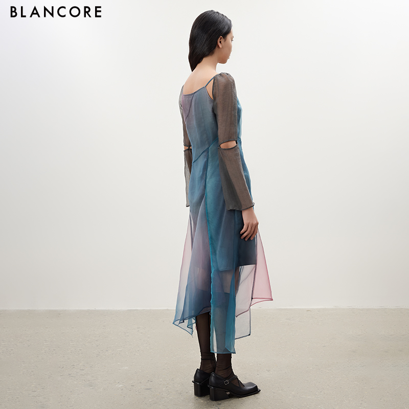 Printed Dress with Mesh Panels