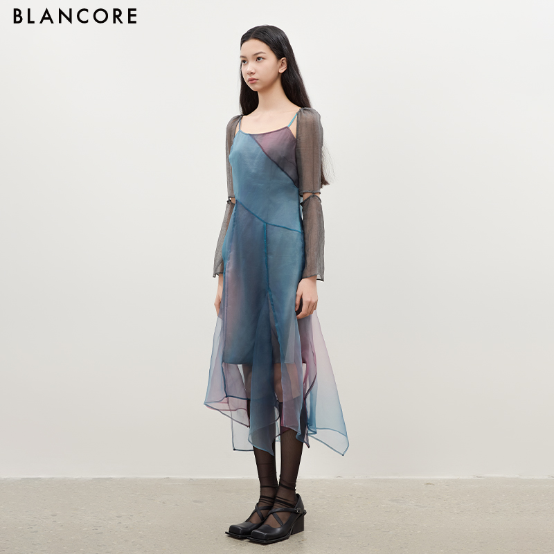 Printed Dress with Mesh Panels
