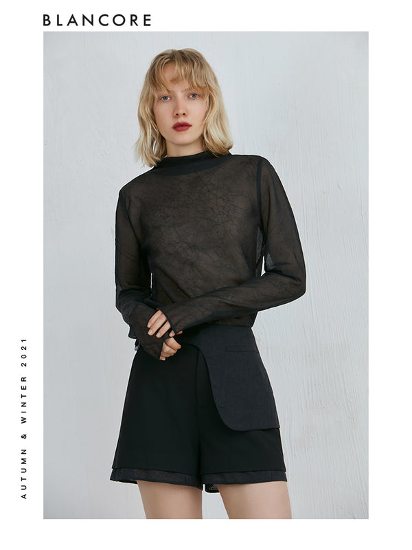 Soft Sheer Mesh Turtleneck Top