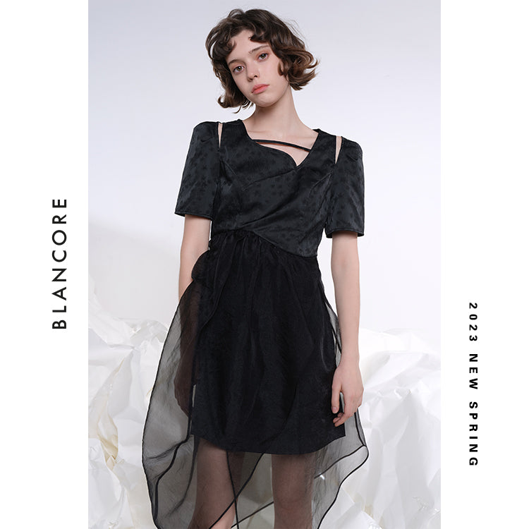 Hollow-Out Mesh Paneled Dress