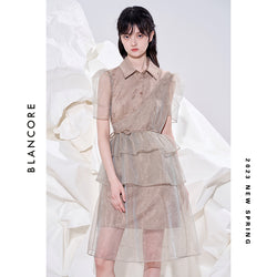 Tulle Sheer Paneled Shirt Style Dress