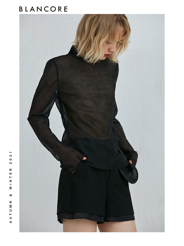 Soft Sheer Mesh Turtleneck Top