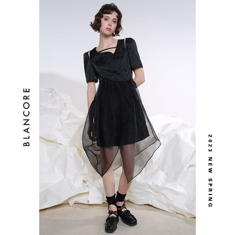 Hollow-Out Mesh Paneled Dress