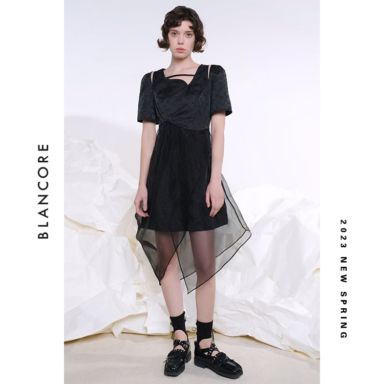 Hollow-Out Mesh Paneled Dress