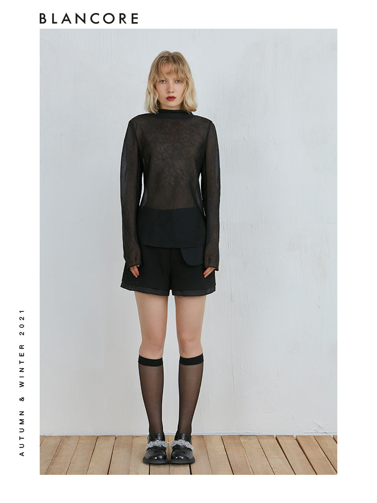 Soft Sheer Mesh Turtleneck Top
