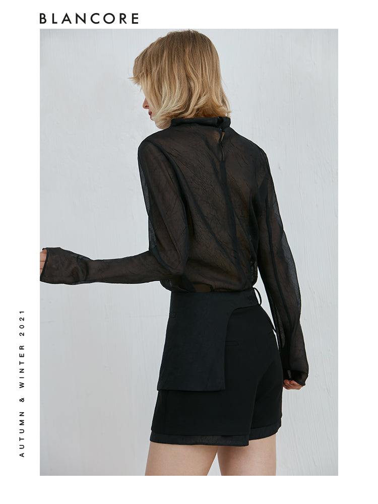 Soft Sheer Mesh Turtleneck Top