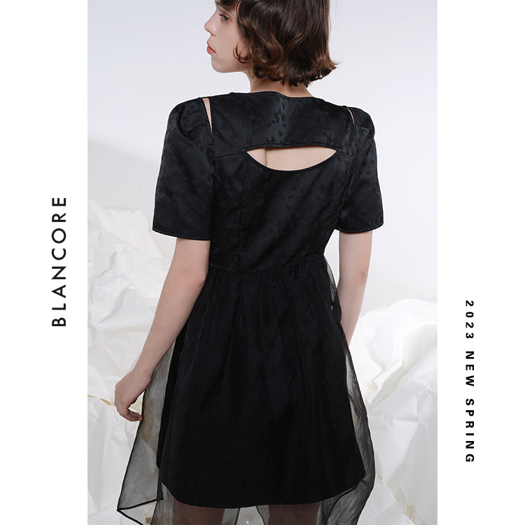 Hollow-Out Mesh Paneled Dress