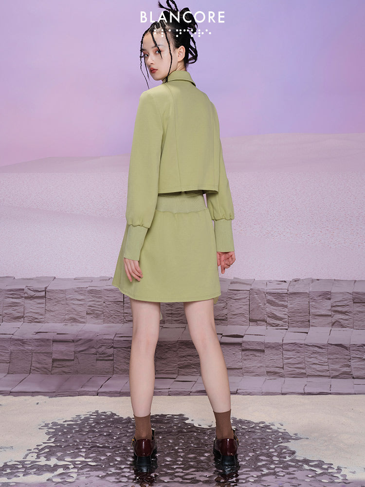 Asymmetrical Ruffled Pleated Skirt