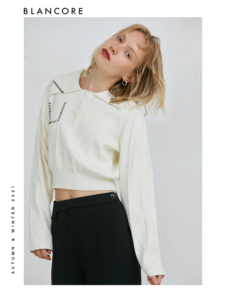 Gigot Sleeve Sweater With Embroidered Detail