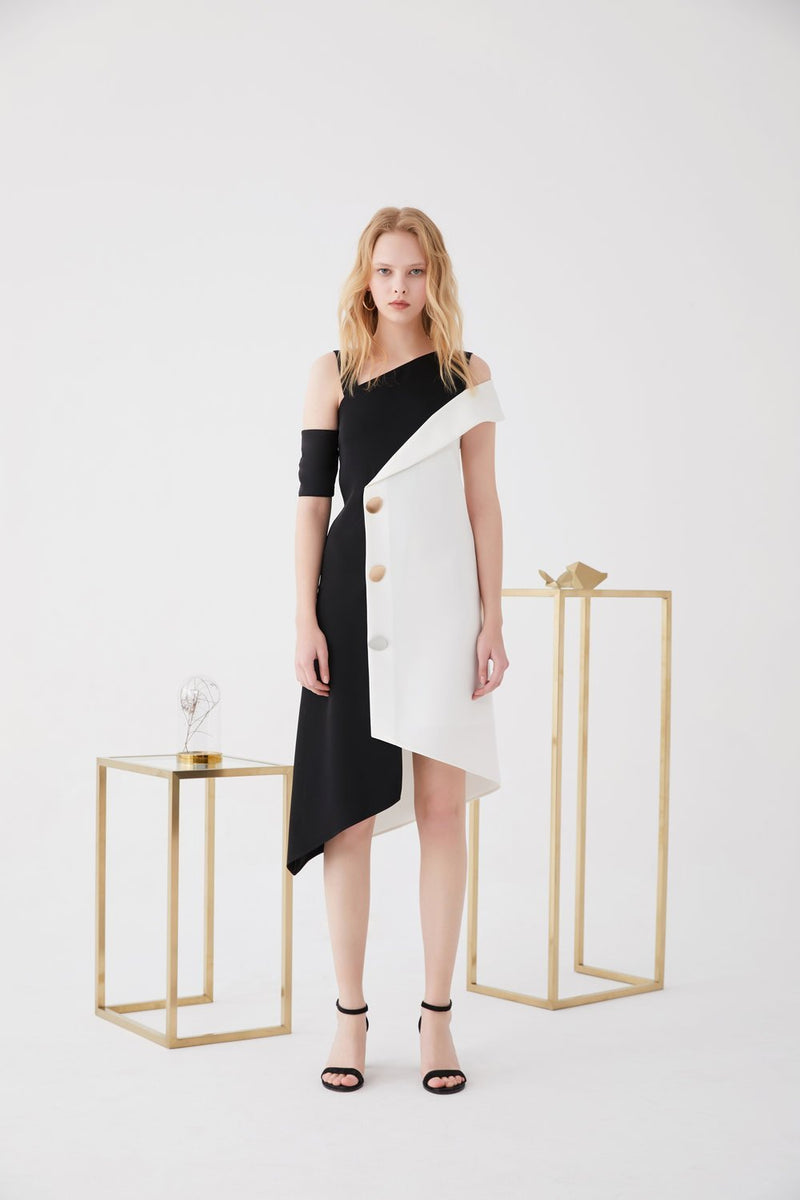 Color Block Dress with Button Details - BLANCORE