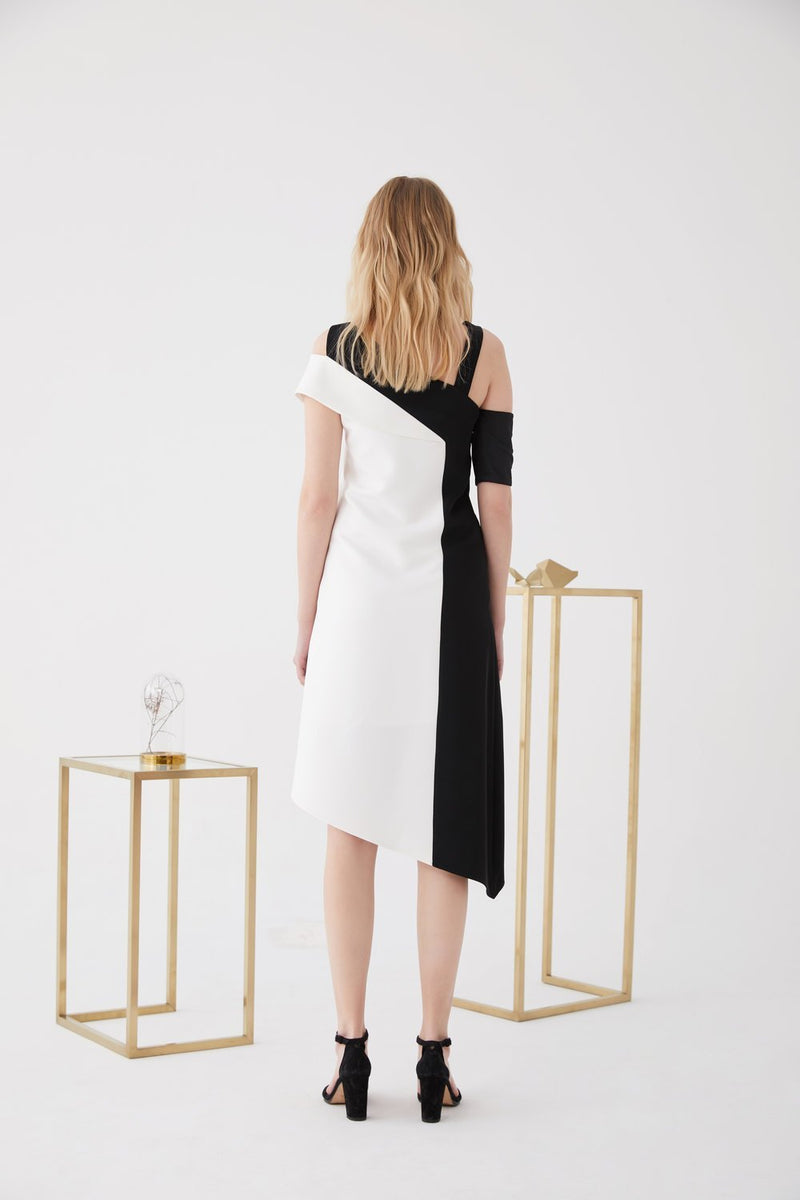 Color Block Dress with Button Details - BLANCORE